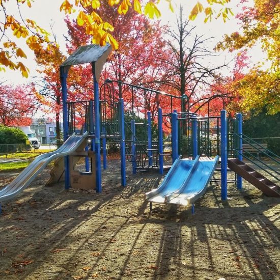 Robson Park playground1