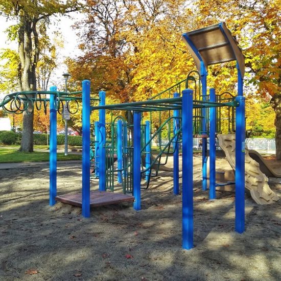 Robson Park playground4